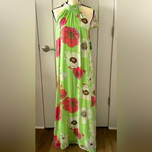 Express Maxi dress, sleeveless with open back.  Ties at neck. Flowing.  Gorgeous